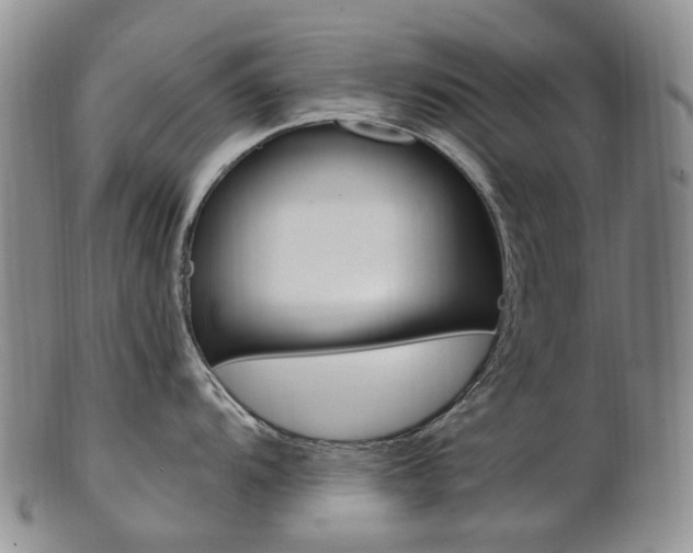 X0000101651104200807100934