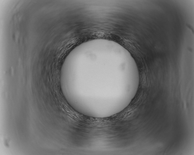X0000101651105200807100933