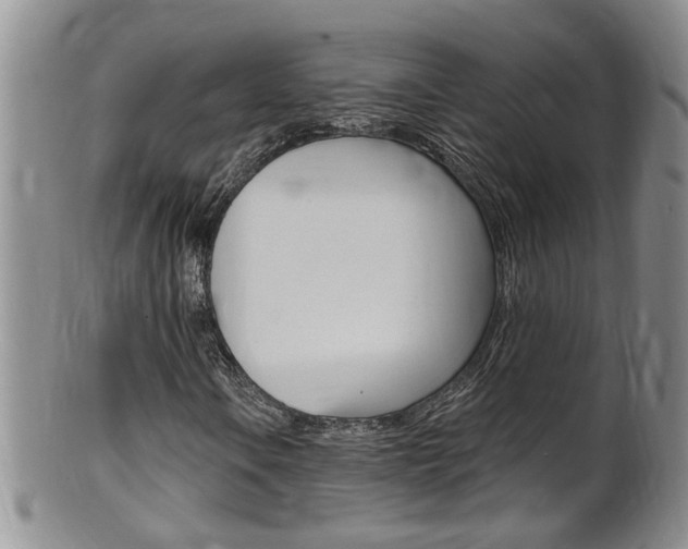 X0000101651106200807100933