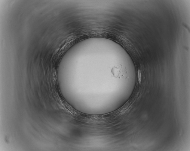 X0000101651107200807100933
