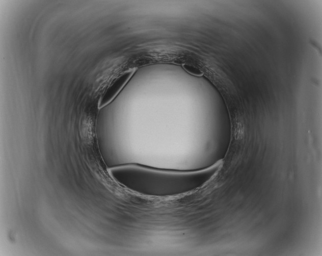 X0000101651108200807100933