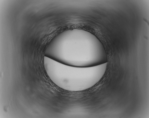 X0000101651109200807100933