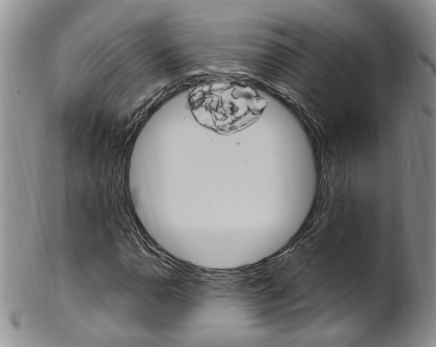 X0000101651110200807100933