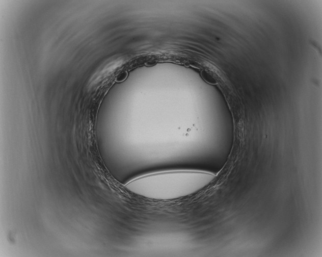 X0000101651111200807100933