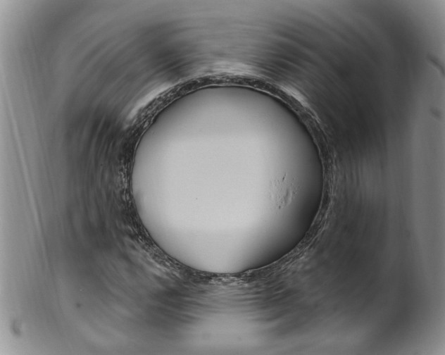 X0000101651112200807100933