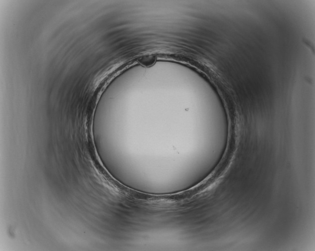 X0000101651113200807100933