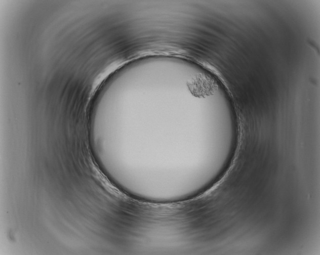 X0000101651114200807100933