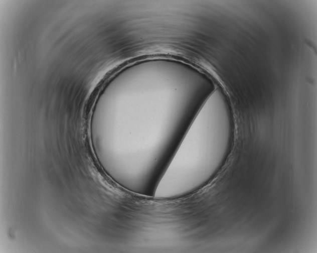 X0000101651116200807100933