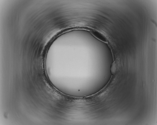 X0000101651118200807100933