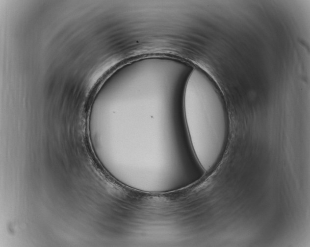 X0000101651119200807100933