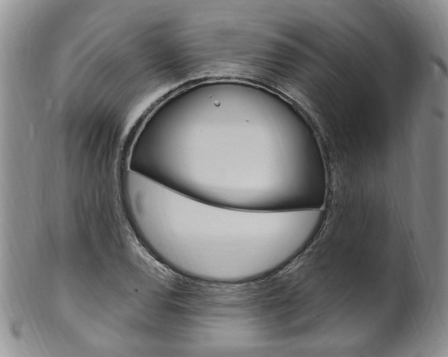 X0000101651120200807100933