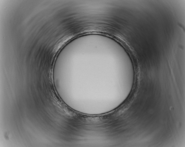 X0000101651121200807100933