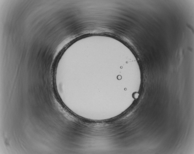 X0000101651122200807100934