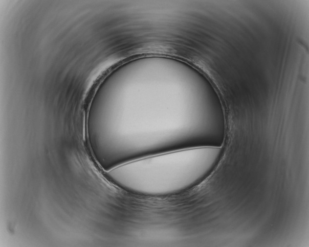 X0000101651123200807100934
