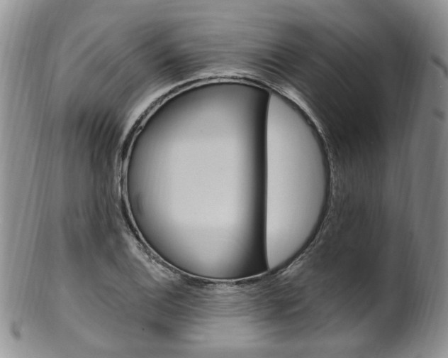X0000101651124200807100934