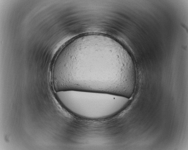 X0000101651125200807100934