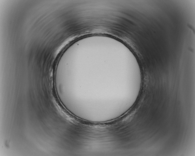 X0000101651126200807100934