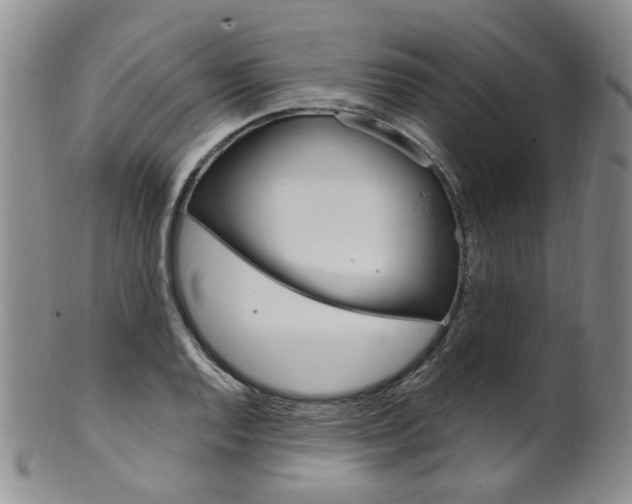 X0000101651128200807100934