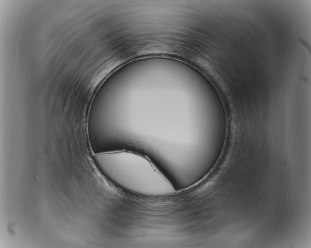 X0000101651129200807100934