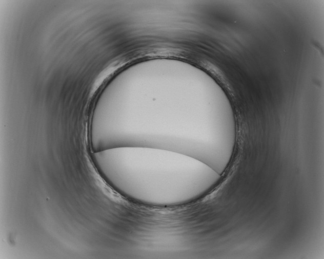 X0000101651130200807100934