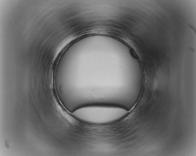 X0000101651131200807100934
