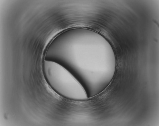 X0000101651132200807100934