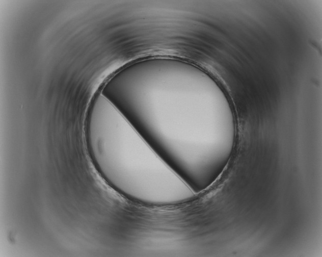 X0000101651133200807100934