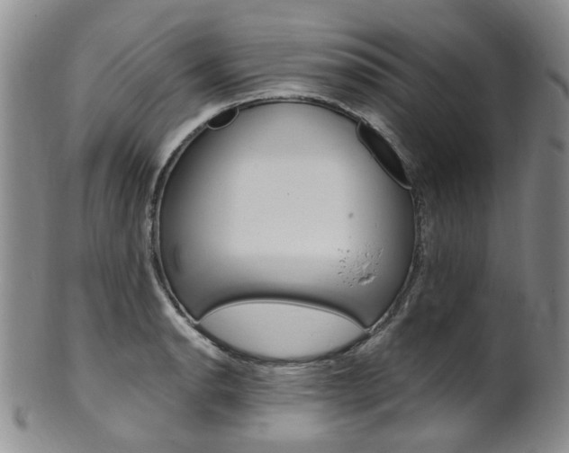 X0000101651134200807100934
