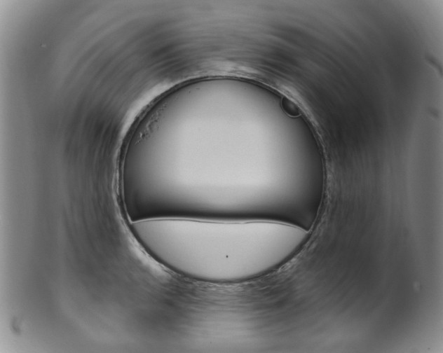 X0000101651136200807100934