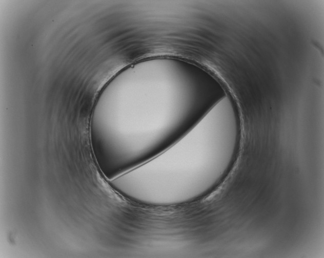 X0000101651137200807100934