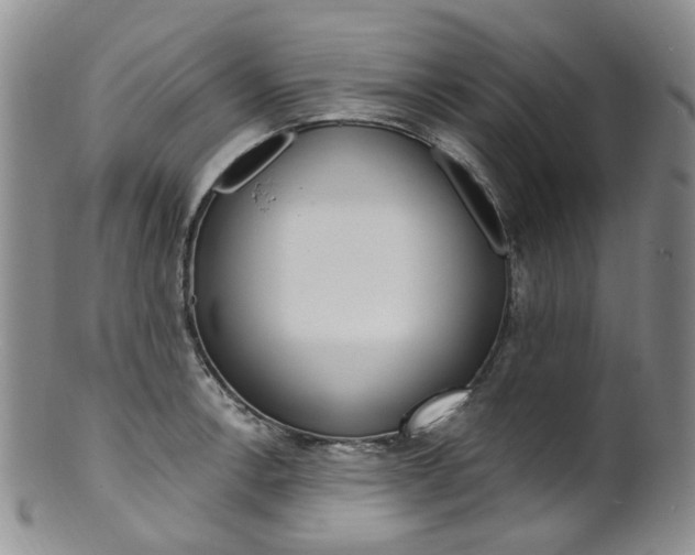 X0000101651138200807100934