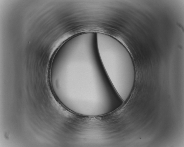 X0000101651139200807100934