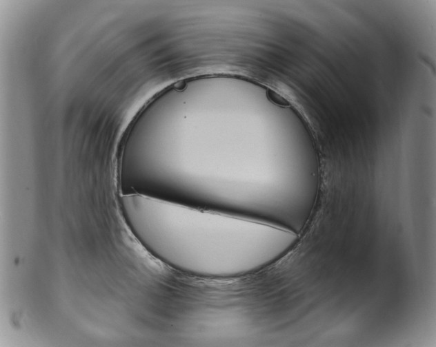 X0000101651140200807100934