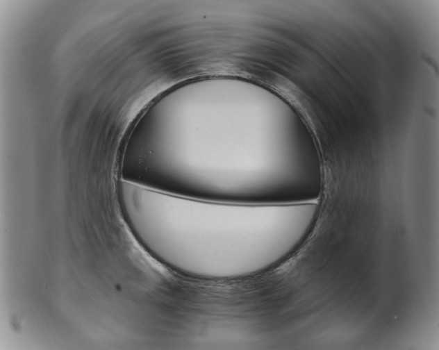 X0000101651141200807100934