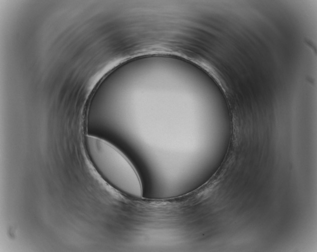 X0000101651142200807100934