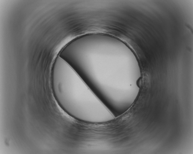 X0000101651143200807100934
