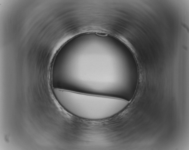 X0000101651144200807100934