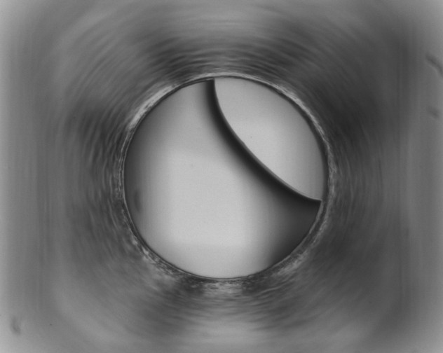 X0000101651145200807100934