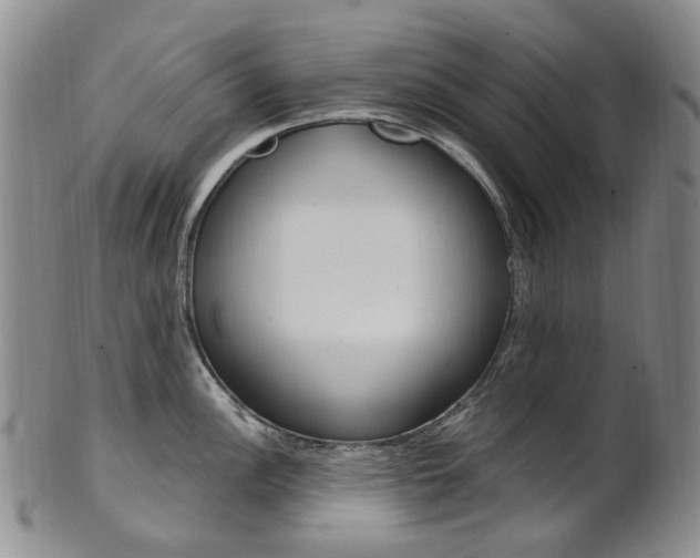 X0000101651148200807100934