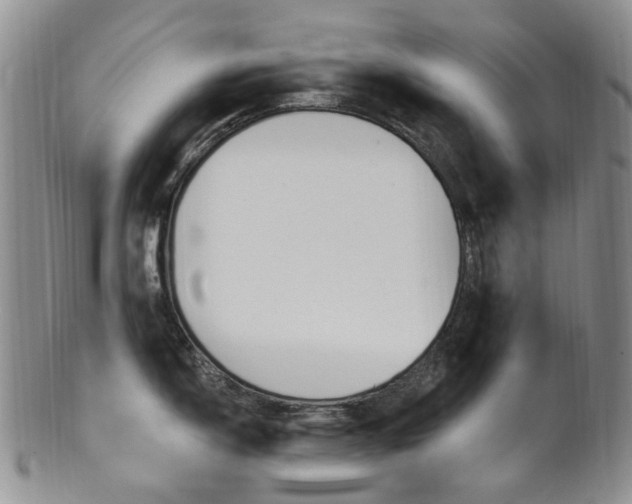 X0000101651150200807100934