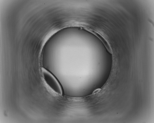 X0000101651152200807100934