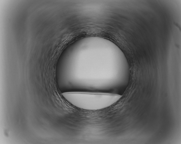 X0000101651153200807100933