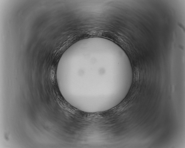 X0000101651154200807100933