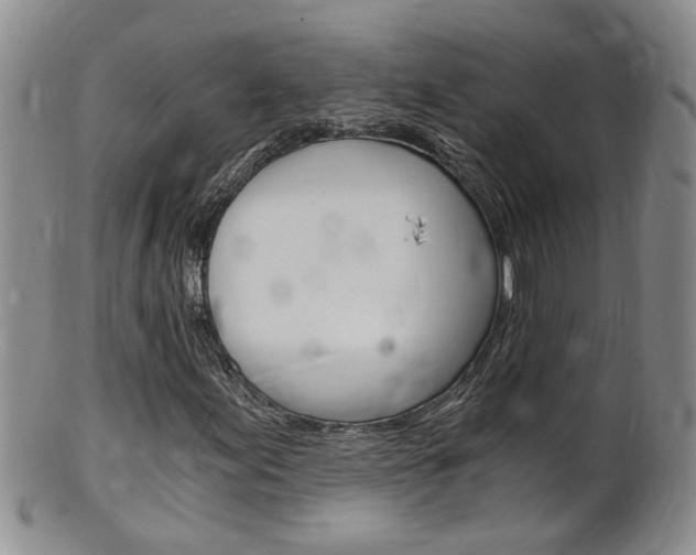 X0000101651155200807100933