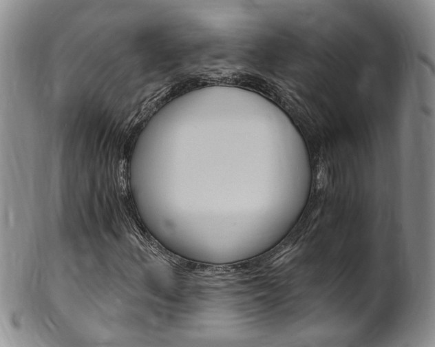 X0000101651156200807100933