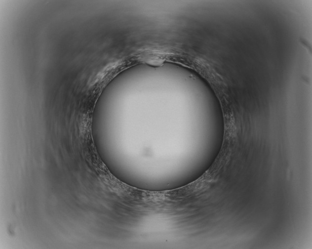 X0000101651157200807100933