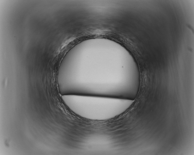 X0000101651158200807100933