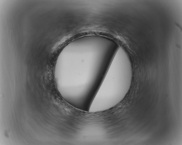 X0000101651159200807100933
