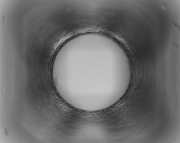 X0000101651160200807100933