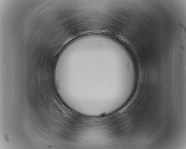 X0000101651161200807100933
